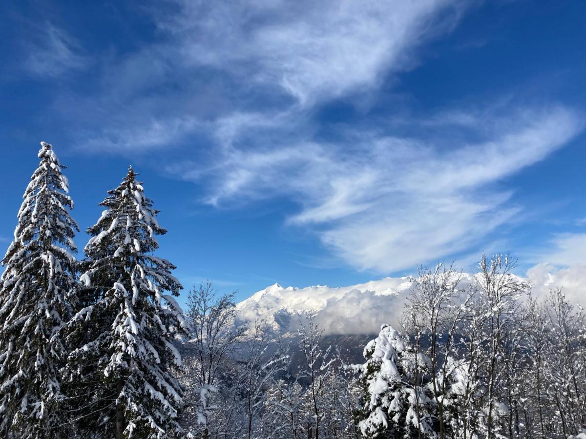 Il Ciapine Bed & Breakfast Giaveno Exterior photo